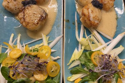 Coquilles seafood
